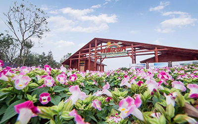 今年会·(中国集团)官方网站