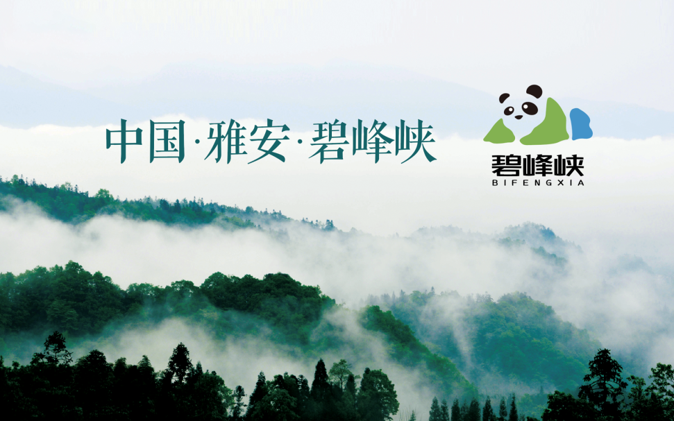 今年会·(中国集团)官方网站