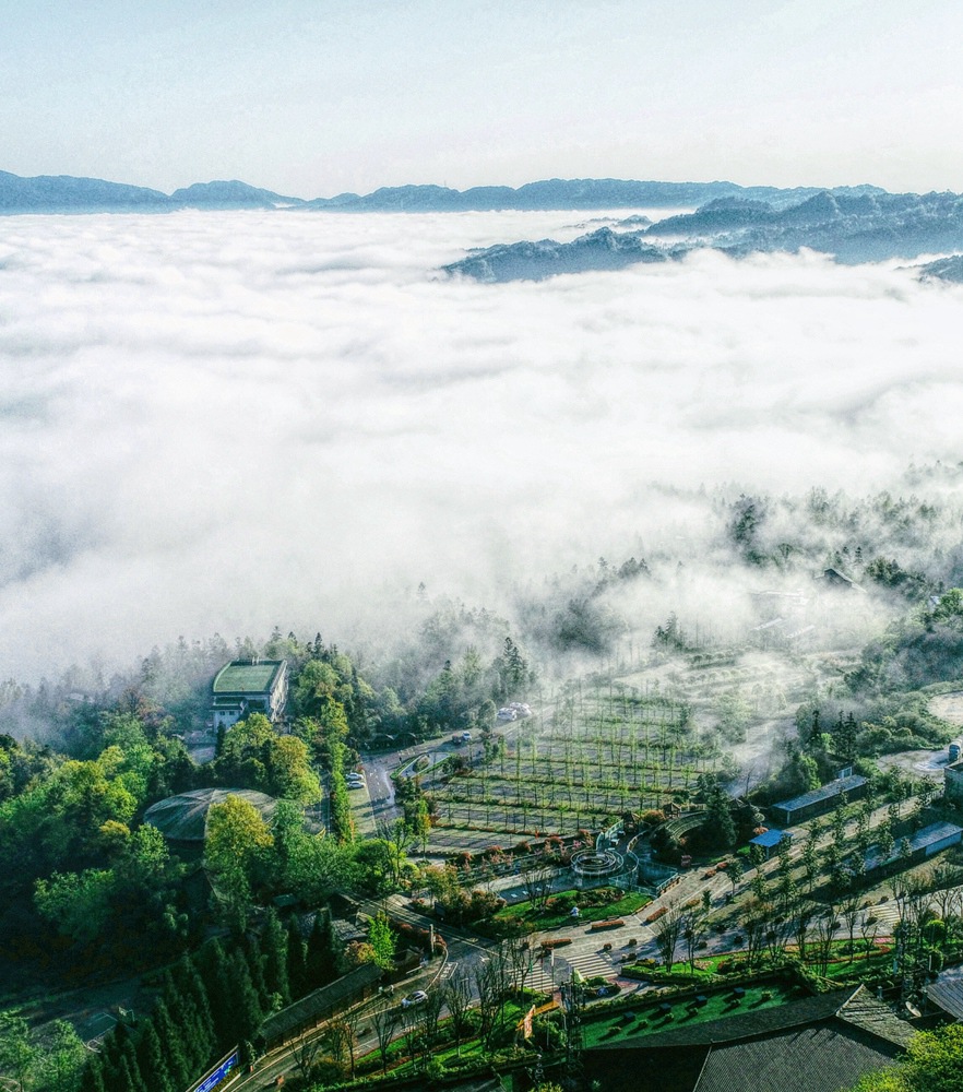 今年会·(中国集团)官方网站