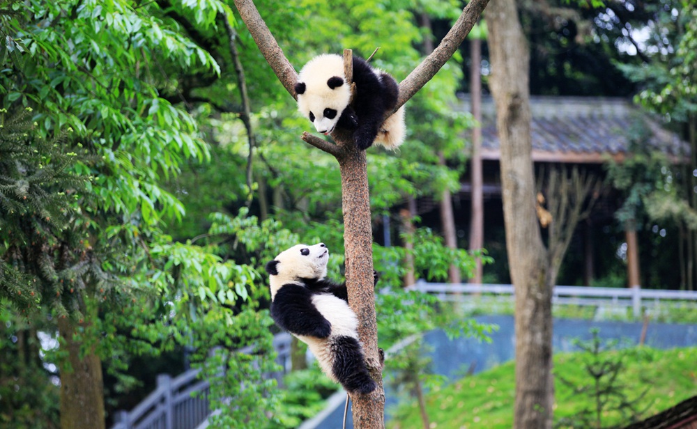 今年会·(中国集团)官方网站