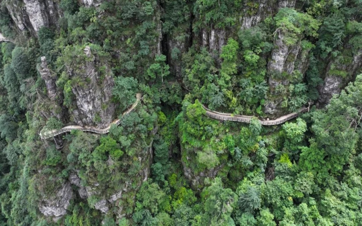 今年会·(中国集团)官方网站